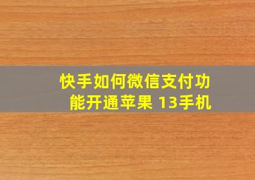 快手如何微信支付功能开通苹果 13手机